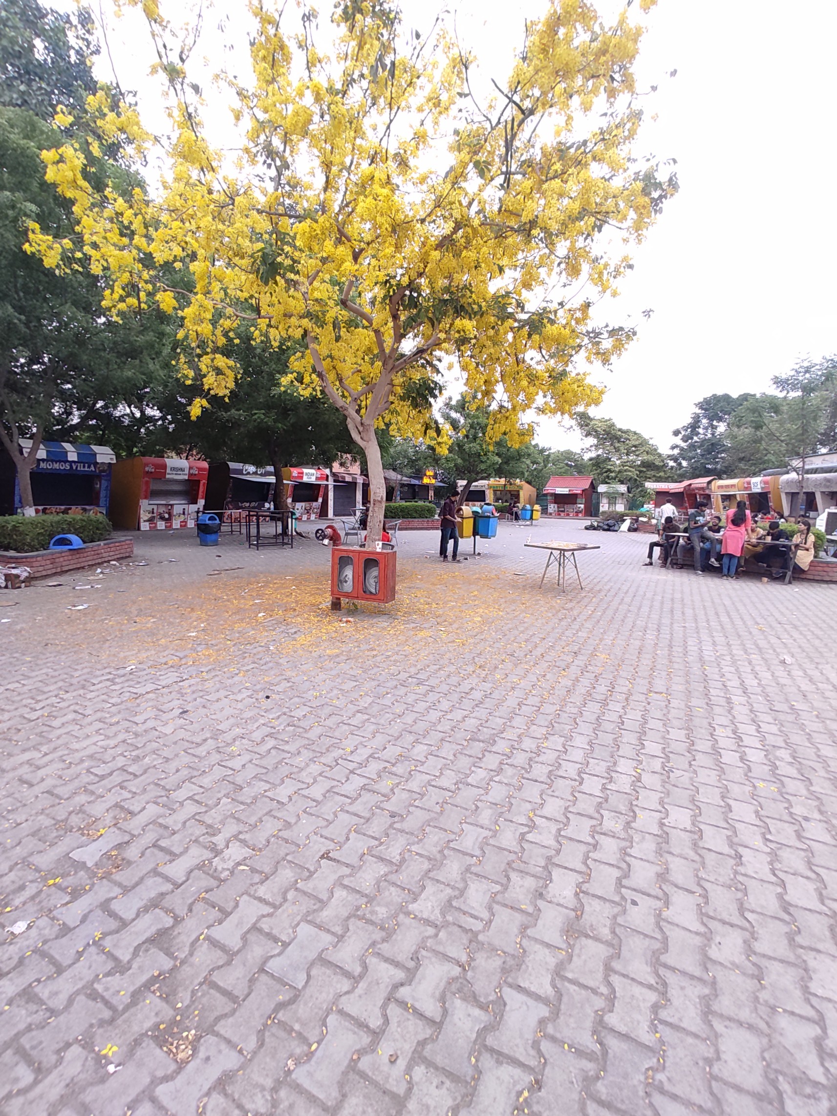 LPU Extra-Curricular photo (54) by Atul Kumar